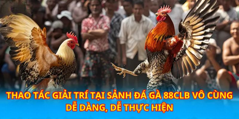 da ga 88clb co thao tac thuc hien don gian