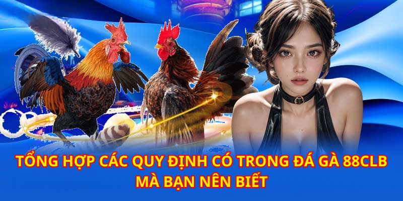 da ga 88clb va nhung quy dinh quan trong can biet