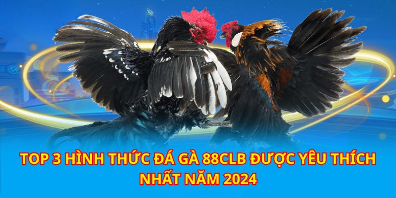 da ga 88clb voi 3 hinh thuc giai tri hap dan nhat